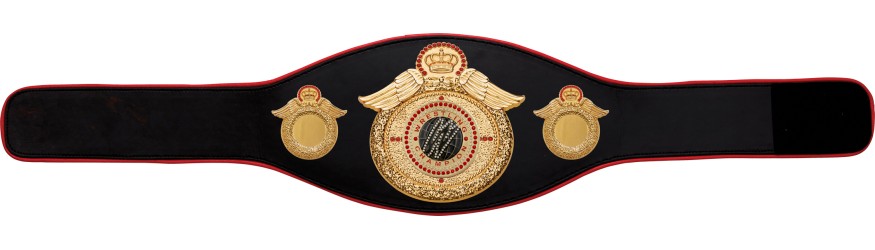 WRESTLING CHAMPIONSHIP BELT-PROWING/G/WRESTGEMG-6+ COLOURS
